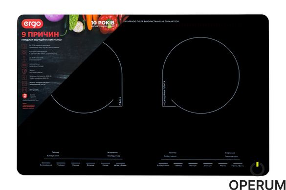 Индукционная плита ERGO IHP-2608 IHP-2608 фото