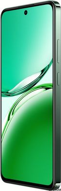 Смартфон OPPO Reno12 FS 12/512GB (black green)