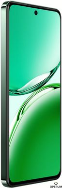 Смартфон OPPO Reno12 FS 12/512GB (black green)