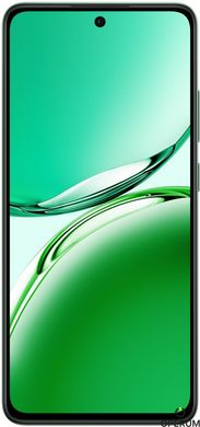 Смартфон OPPO Reno12 FS 12/512GB (black green)