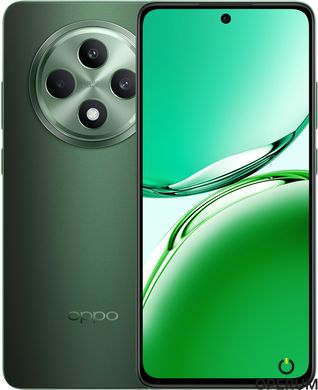 Смартфон OPPO Reno12 FS 12/512GB (black green)