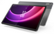 Планшетний ПК LENOVO Tab P11 (2nd Gen) 6/128 WiFi Storm Сірий + Pen (ZABF0400UA)