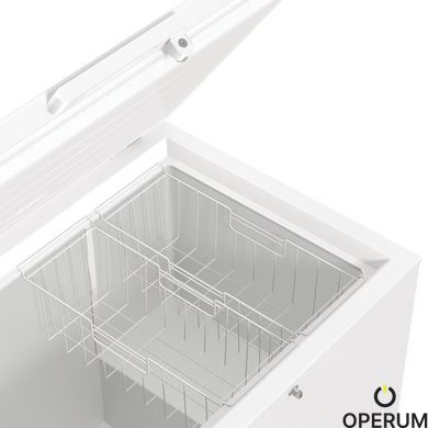 Морозильный сундук Gorenje FH 301 CW (ZS3108T) 736382 фото