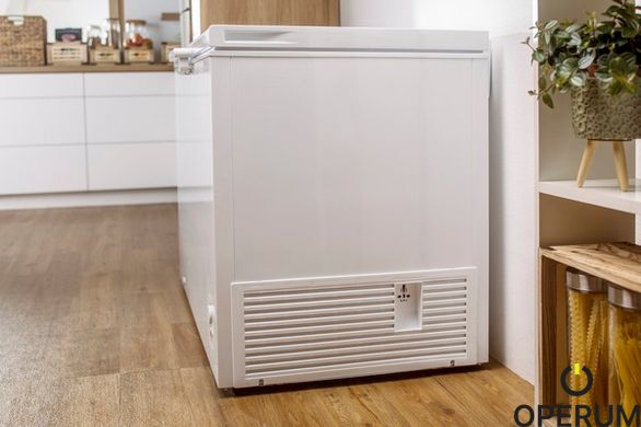 Морозильный сундук Gorenje FH 301 CW (ZS3108T) 736382 фото