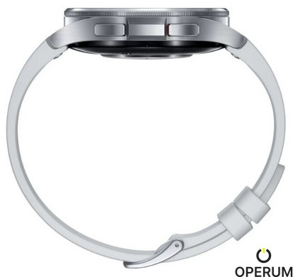 Смарт часы SAMSUNG Galaxy Watch 6 Classic 47mm Silver (SM-R960NZSASEK)