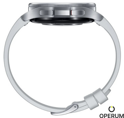 Смарт годинник SAMSUNG Galaxy Watch 6 Classic 43mm Silver (SM-R950NZSASEK)