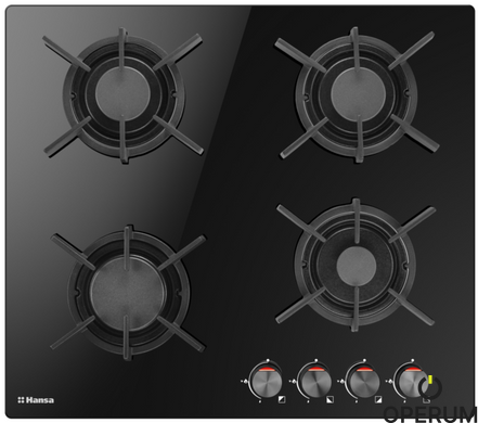 Газовая варочная поверхность Hansa BHKS630700 21171 фото