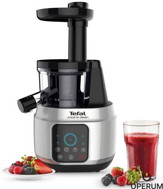 Соковижималка Tefal ZC420E38 (6481344)