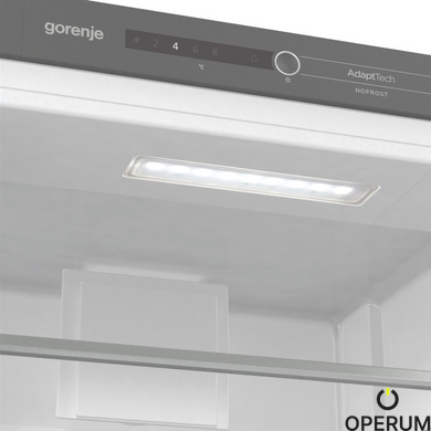 Холодильник Gorenje NRKI218EA0 (6989903)