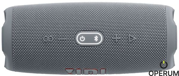 Портативная колонка JBL Charge 5 (JBLCHARGE5GRY) Grey JBLCHARGE5GRY фото